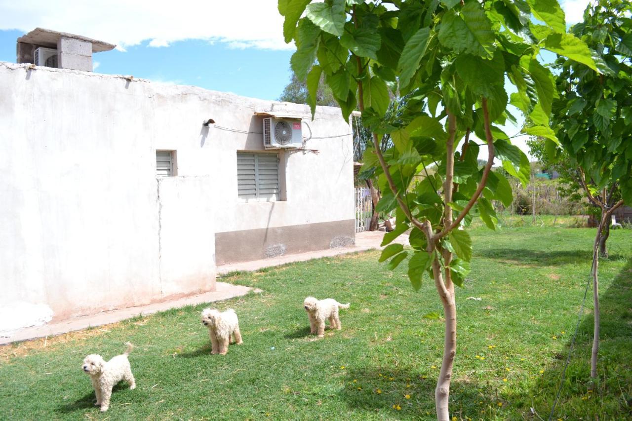 Hospedaje Las Termas Fiambalá Exterior photo